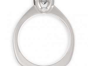 stl 3dm jewelry ring 005 3D 打印模型