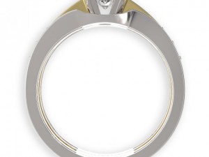 stl 3dm jewelry ring 007 3D Baskı Modeli