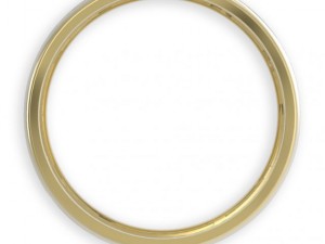 stl 3dm jewelry ring 009 3D 打印模型