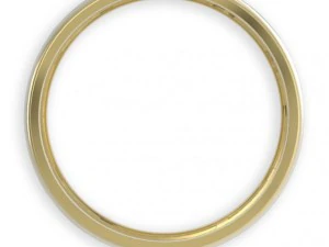 stl 3dm jewelry ring 009 3D Print Model