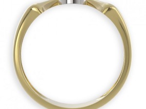 stl 3dm jewelry ring 011 3D-Druckmodell