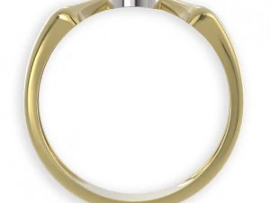 stl 3dm jewelry ring 011 3D Print Model