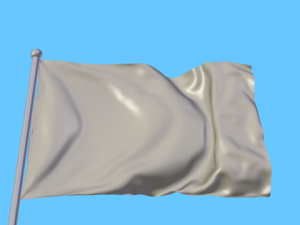 flag 3D Model
