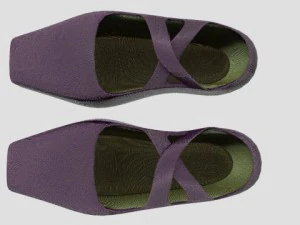 ballet shoes 3D Model