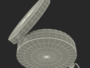 compass 3D 模型
