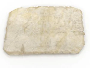 oldmap 3D Model