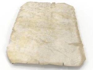 oldmap 3D Model