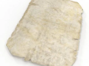 oldmap 3D Model