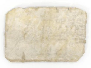 oldmap 3D Model