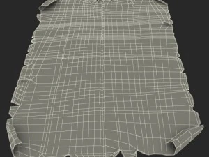 oldmap 3D Model