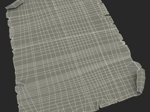 oldmap 3D Model