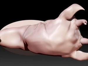 kid goat 3D Print Model