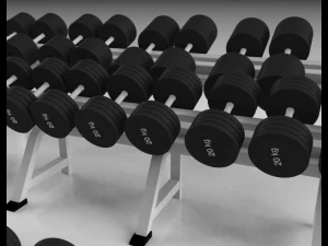 fila con bilanciere Modello 3D