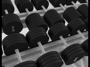 barbell row 3D Модель
