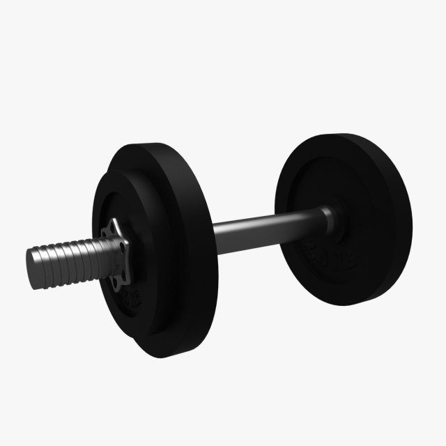 dumbbell 3D Model .c4d .max .obj .3ds .fbx .stl .blend 