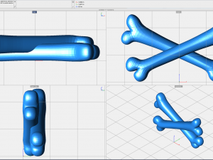 bf tibie Model 3D