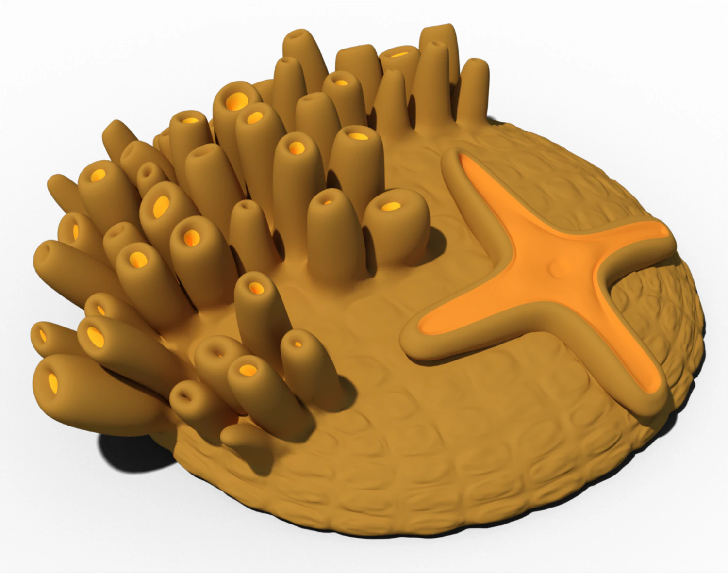 sea bed 1 3D Model .c4d .max .obj .3ds .fbx .stl .blend 