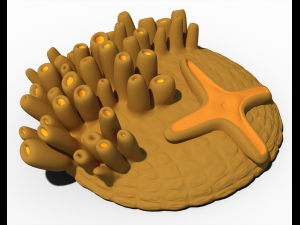 sea bed 1 3D-Modell