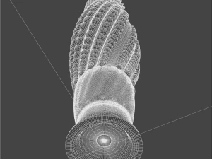 sexcactus1 3D Model