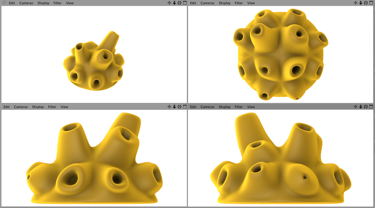 demospongiae yellow sea sponge 3D Model .c4d .max .obj .3ds .fbx .stl .blend