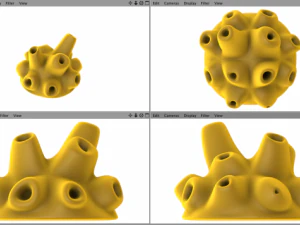 esponja do mar amarelo demospongiae Modelo 3D