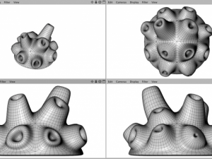 demospongiae yellow sea sponge 3Dモデル