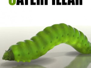 caterpillar Model 3D