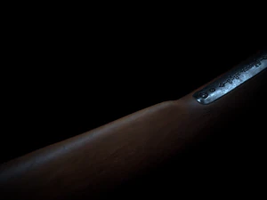 winchester 1873 3D Model