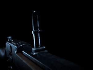 winchester 1873 3Dモデル