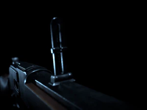 winchester 1873 3D Model