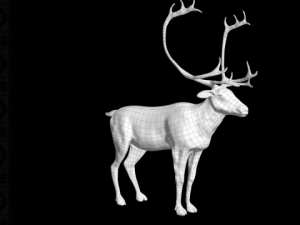 deer caribou 3D Model