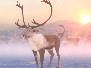 deer caribou 3D Model