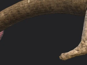 bone sword 3D Model
