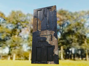 door old door game model door 3D Model