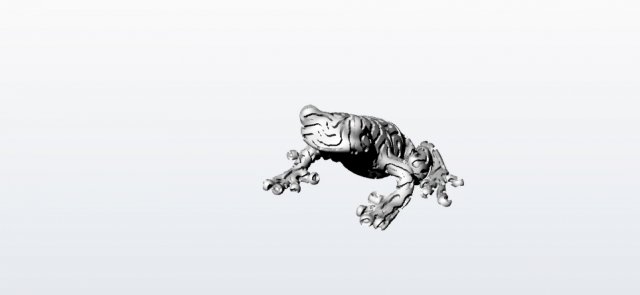 frog 3D 模型 .c4d .max .obj .3ds .fbx .stl .blend 