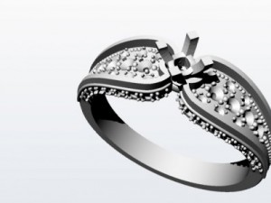 the individual ring 1 Modello 3D