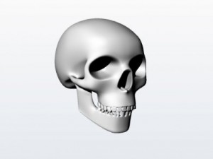 different Model 3D
