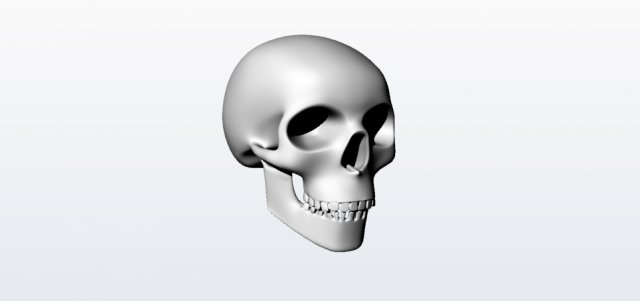 skull 1 Model 3D .c4d .max .obj .3ds .fbx .stl .blend 