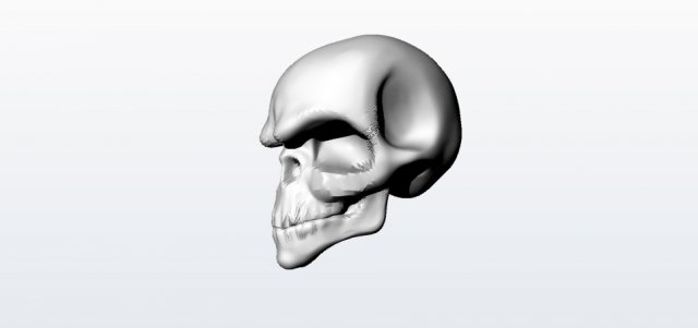 skull 3D Модель .c4d .max .obj .3ds .fbx .stl .blend 