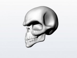 skull 3Dモデル