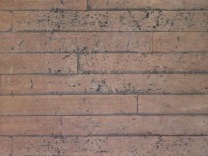 6 wood textures CG Textures