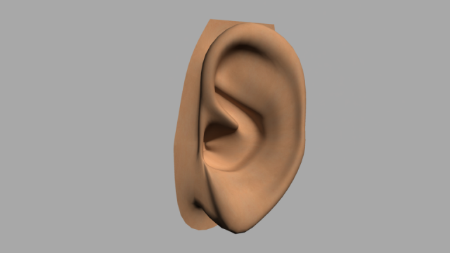 humen ear 3D Model .c4d .max .obj .3ds .fbx .stl .blend