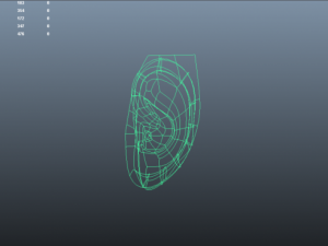 humen ear 3D Model