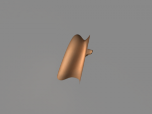 humen ear 3D Model