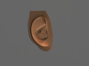 humen ear 3D Model
