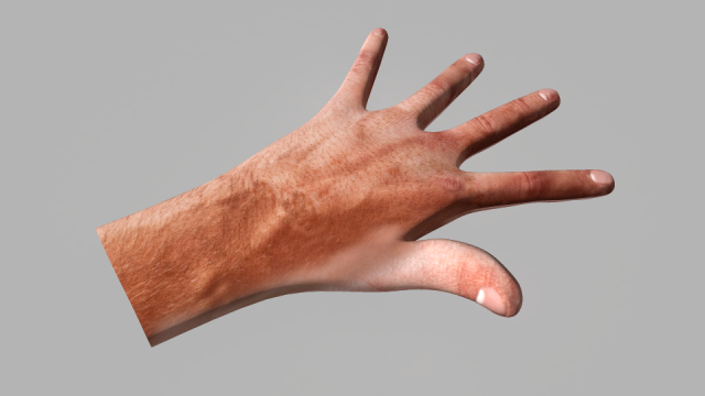 humen hand 3D-Modell .c4d .max .obj .3ds .fbx .stl .blend 