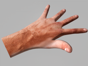 humen hand Model 3D