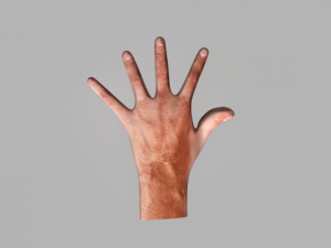 humen hand 3D-Modell