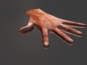 humen hand 3D-Modell