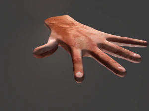 humen hand 3D Model